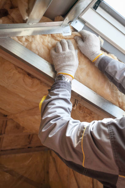 Best Specialized Insulation Services in Waikoloa Village, HI